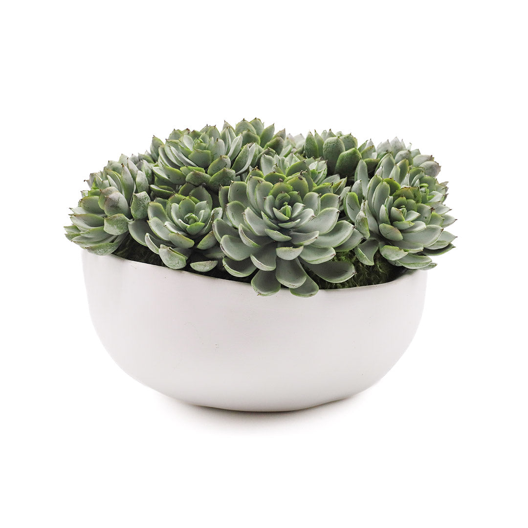 Hen and Chick in Curved Bowl - Medium