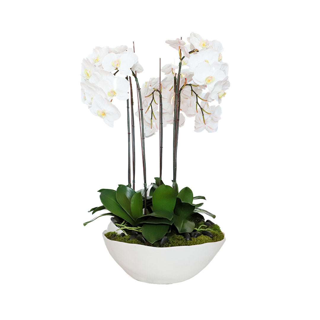 Orchid Foliage in Swirl Bowl