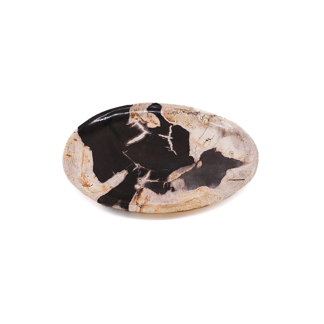 Petrified Wood Plate - Medium