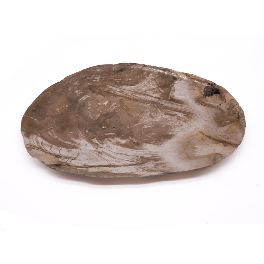 Petrified Wood Plate - Large