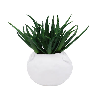 Spikey Aloe In Dimple Vase - Large White